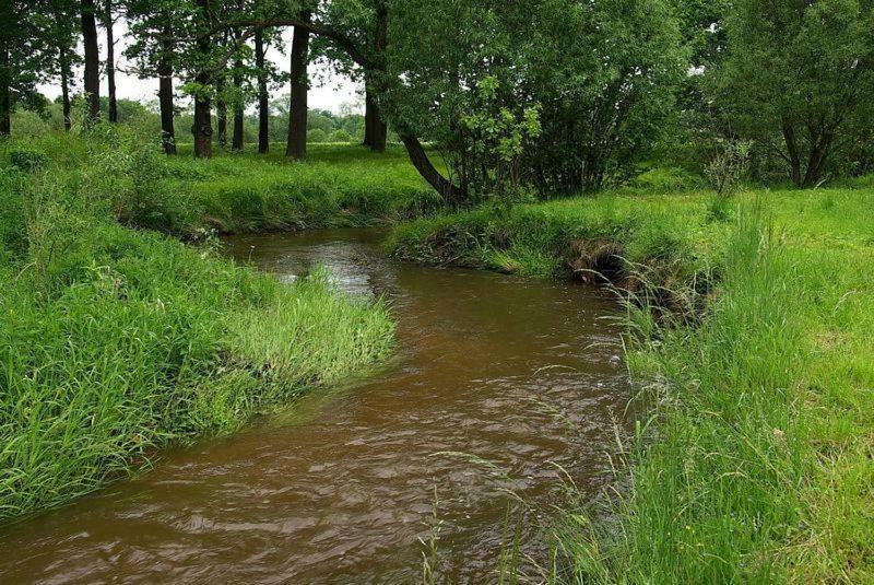 Karpnicka Struga W Dolinie Palacow I Ogrodow Jelení Hora Exteriér fotografie